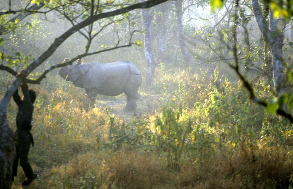 Henrik Højmark Thomsen, Chitwan Nationalpark Nepal