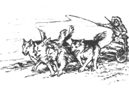 Tegning Hundeslæde
