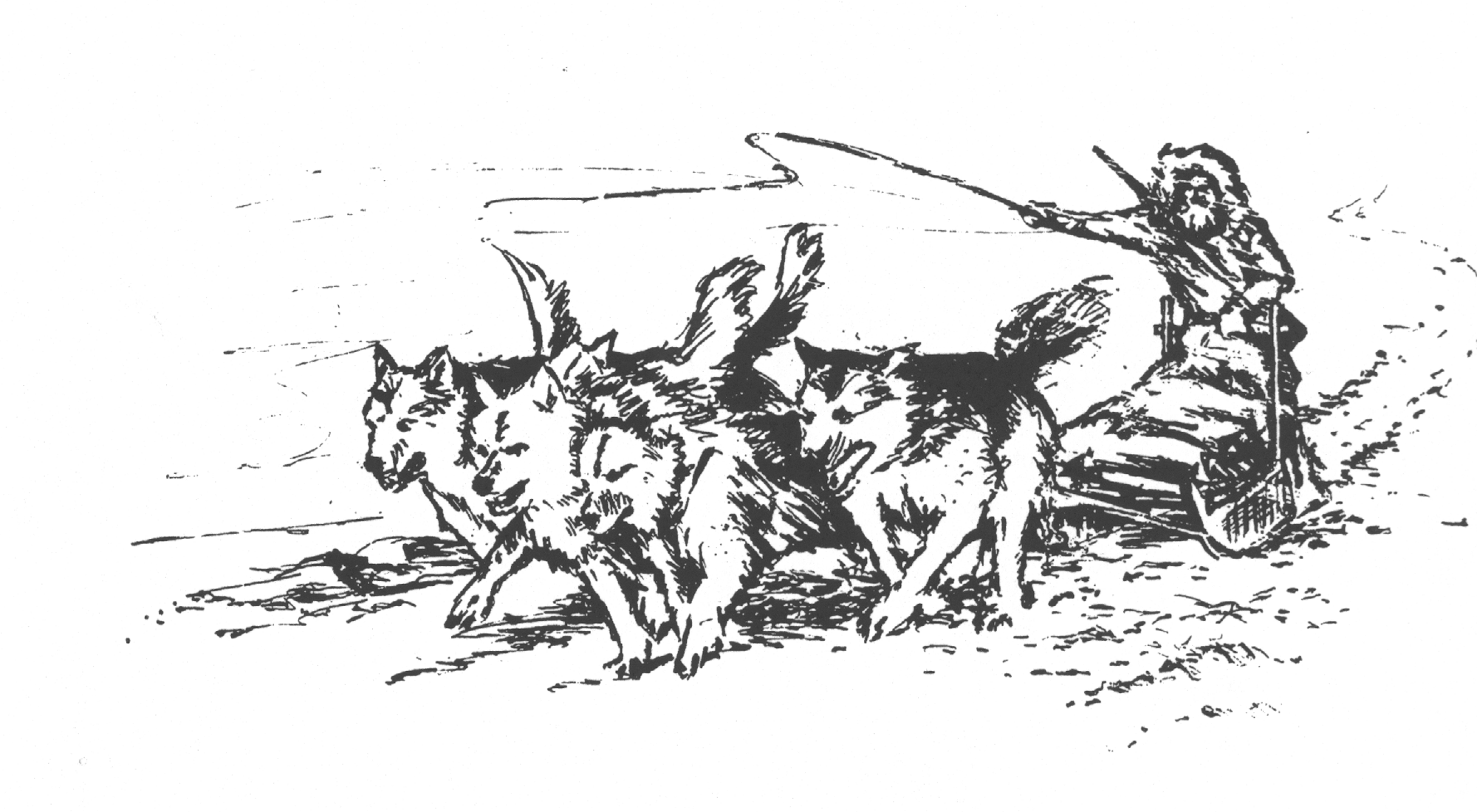 Tegning Hundeslæde
